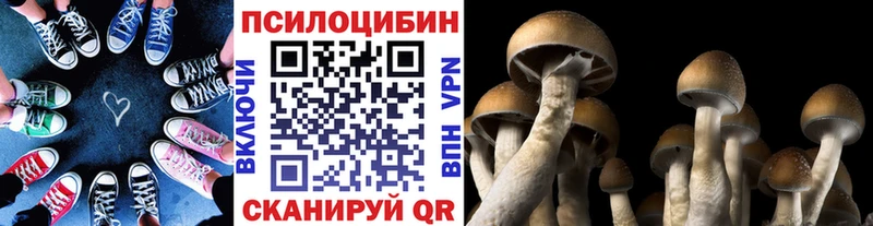 Псилоцибиновые грибы мицелий  Сурск 
